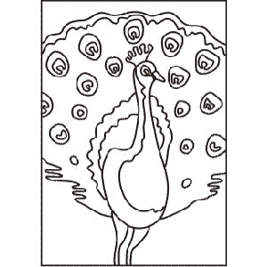 Tarjeta 86 Pavo real